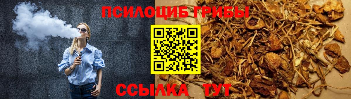 Щёлково  Псилоцибиновые грибы GOLDEN TEACHER  Псилоцибиновые грибы мухоморы  Вход с VPN 